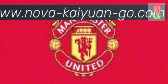 开元体育合作伙伴